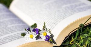 Find Out the Meaning of a PhD Degree, Admission Requirements and How to Apply