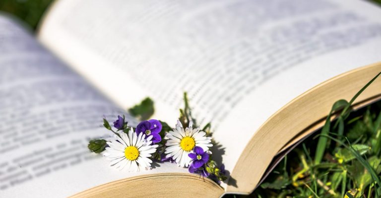 Find Out the Meaning of a PhD Degree, Admission Requirements and How to Apply