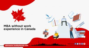 Review of Colleges Offering MBA Without Work Experience in Canada