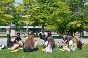 Full Review of Free University of Berlin, Germany
