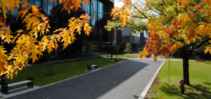 Free Study in Canada Scholarships for International Students; Government and Universities