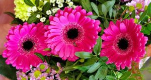 Parapsychology Degree Online - Bachelors, Masters and PhD