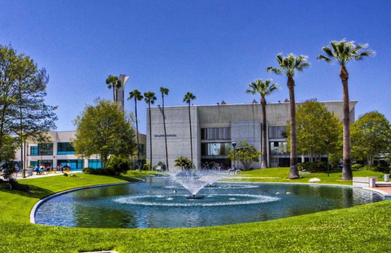 10+ Best Universities for International Law 2022