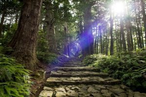 Study Abroad in Sweden in English - Universities in Sweden with Tuition Fees