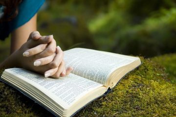 All Free Bible Reading Plan - Bible Study Plans in PDF