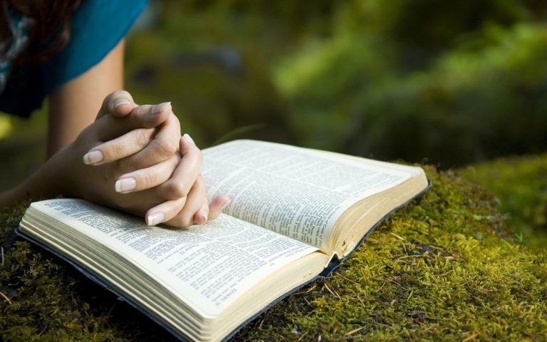 All Free Bible Reading Plan - Bible Study Plans in PDF