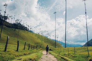 Cheapest Countries to Live and Work